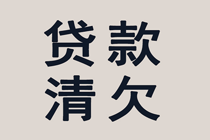 辽阳追债公司:无力偿还欠款起诉后的应对策略
